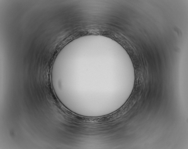 X0000113030702200908271055