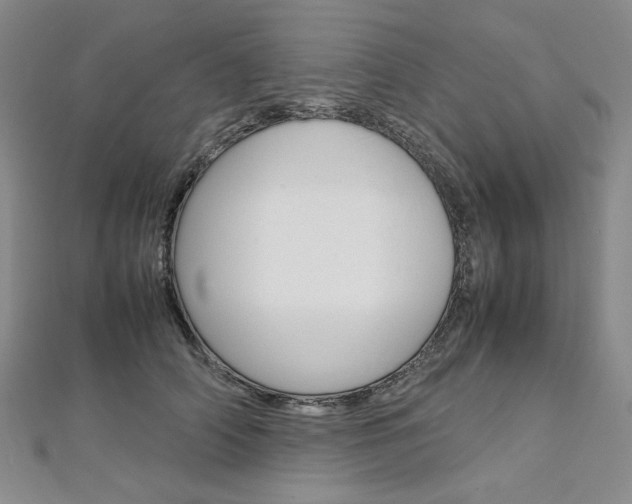 X0000113030706200908271055