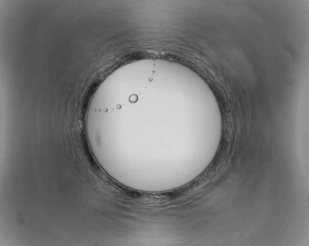 X0000113030707200908271055