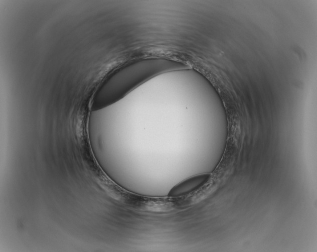 X0000113030708200908271055