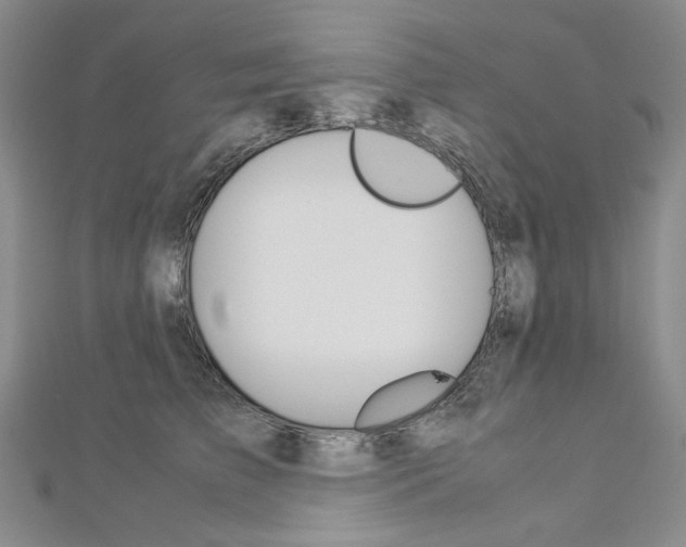 X0000113030709200908271055
