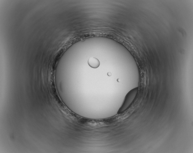 X0000113030712200908271055