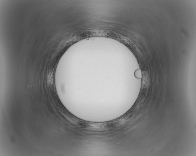 X0000113030713200908271055