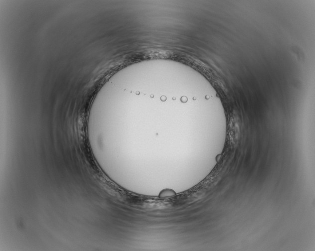 X0000113030714200908271055
