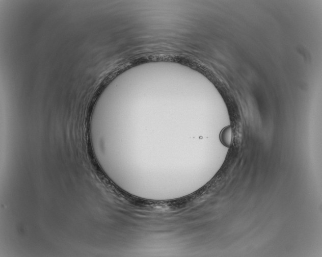 X0000113030715200908271055