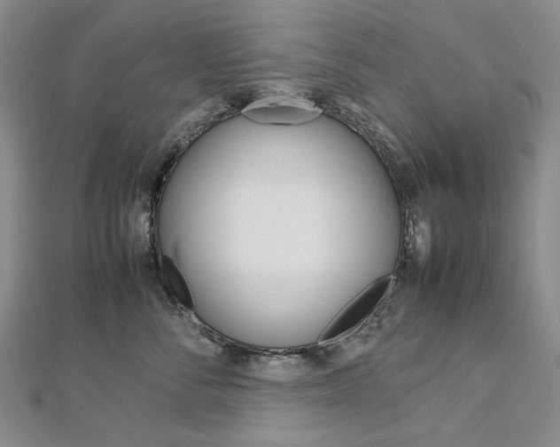 X0000113030716200908271055