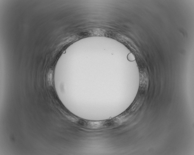 X0000113030717200908271055