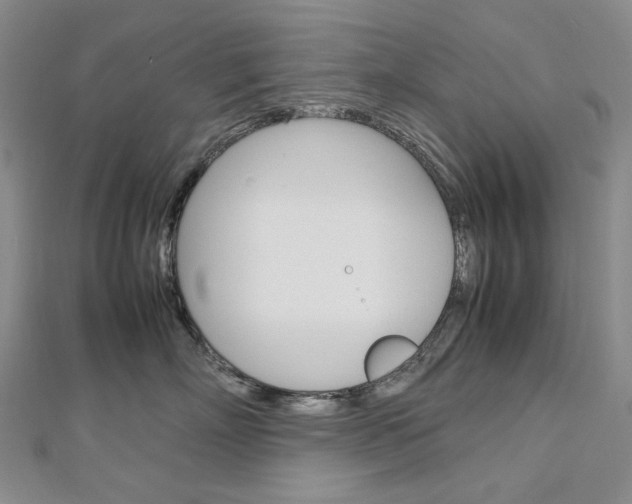 X0000113030718200908271055