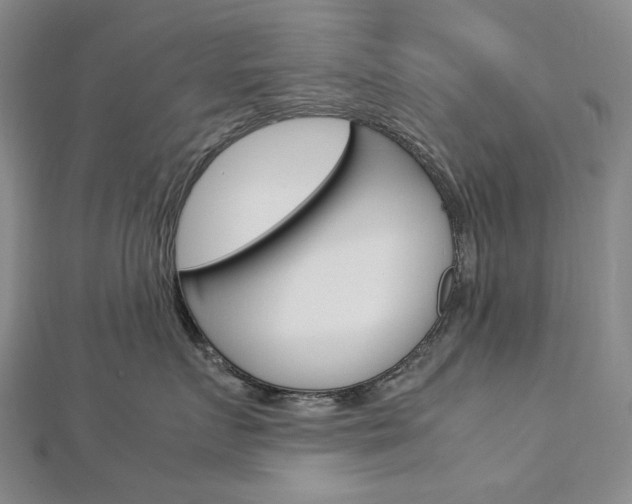 X0000113030719200908271055