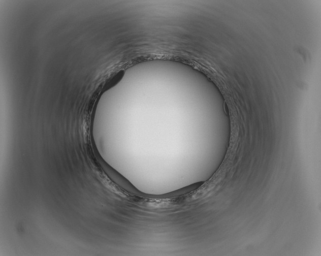 X0000113030720200908271055