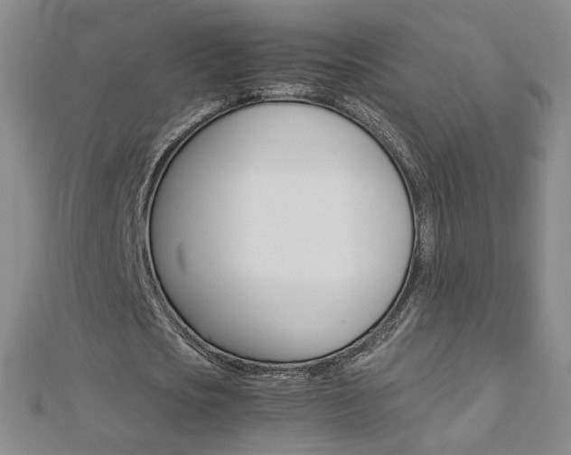 X0000113030721200908271054