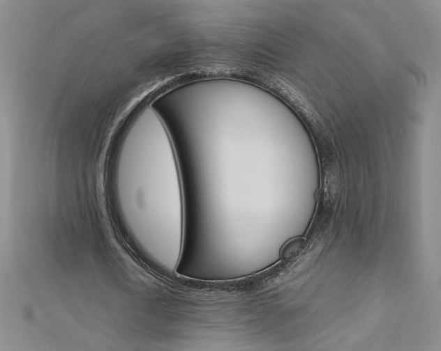 X0000113030722200908271054