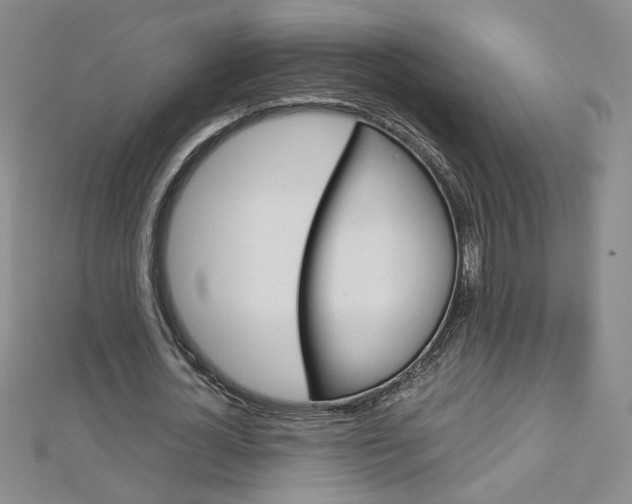 X0000113030724200908271054