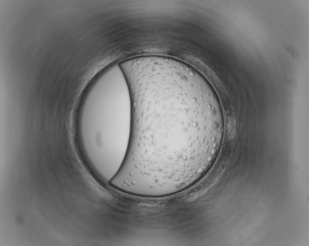 X0000113030725200908271054
