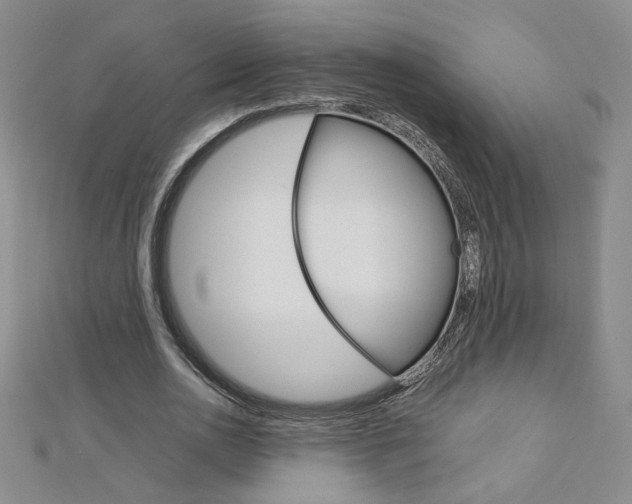 X0000113030726200908271054