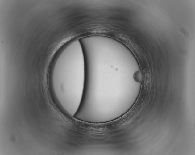 X0000113030727200908271054