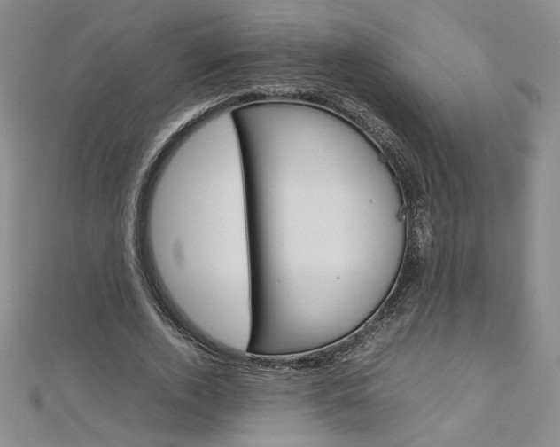 X0000113030728200908271054