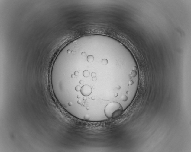 X0000113030729200908271054