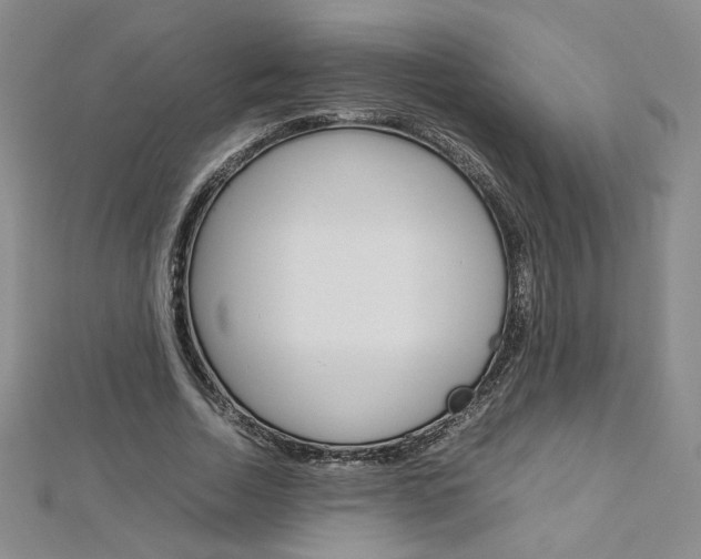 X0000113030730200908271054