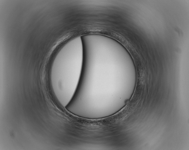 X0000113030731200908271054