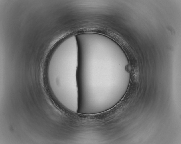 X0000113030732200908271054