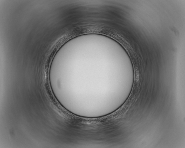X0000113030733200908271054