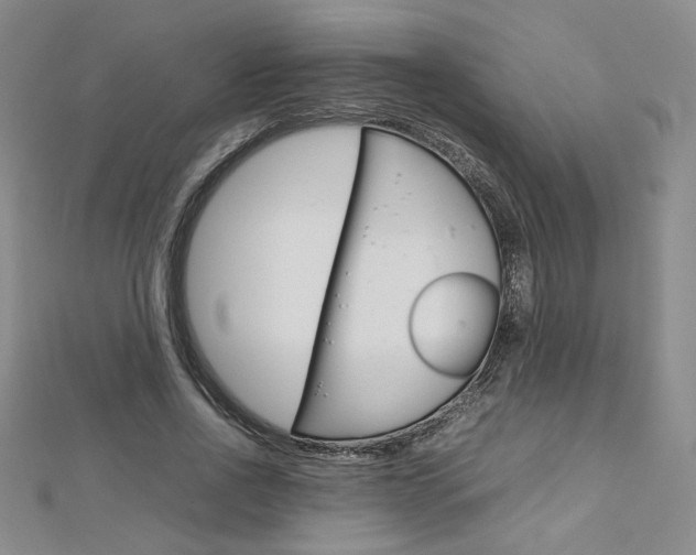 X0000113030734200908271054