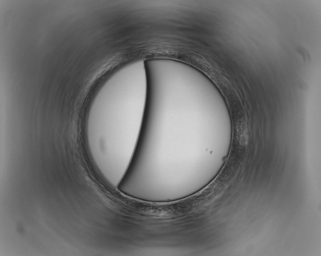 X0000113030735200908271054