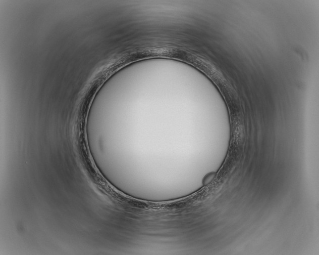 X0000113030736200908271054