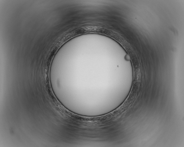 X0000113030737200908271054