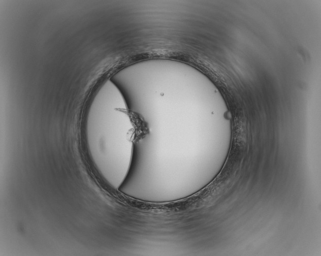 X0000113030738200908271054