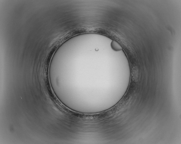 X0000113030740200908271054