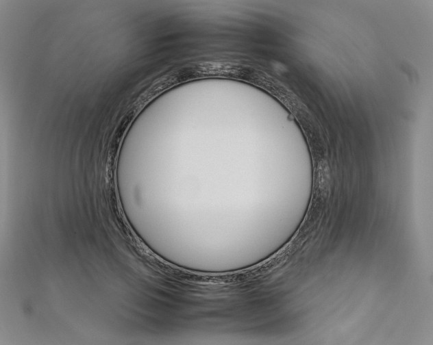 X0000113030741200908271054