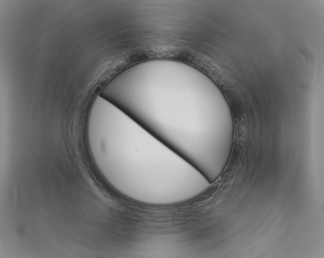 X0000113030742200908271054