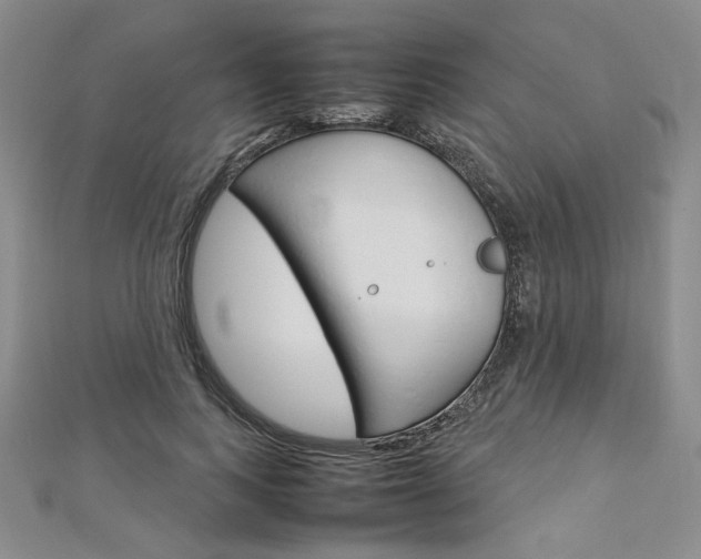 X0000113030743200908271054