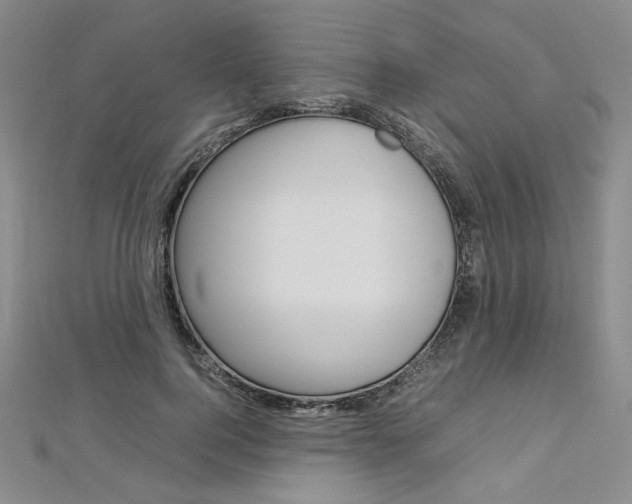 X0000113030744200908271054