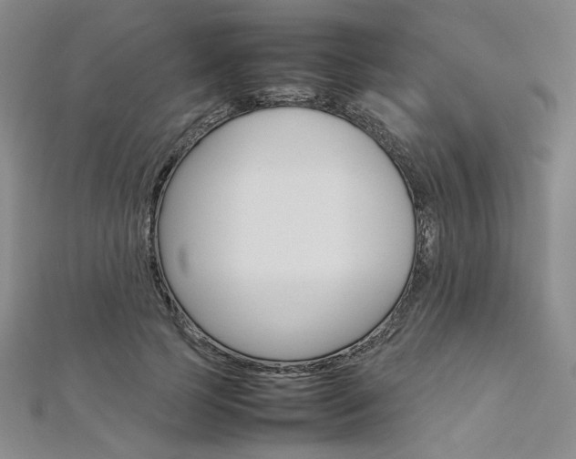 X0000113030745200908271054