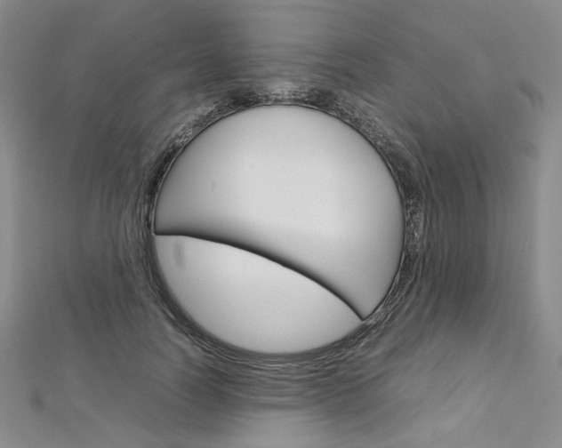 X0000113030746200908271054