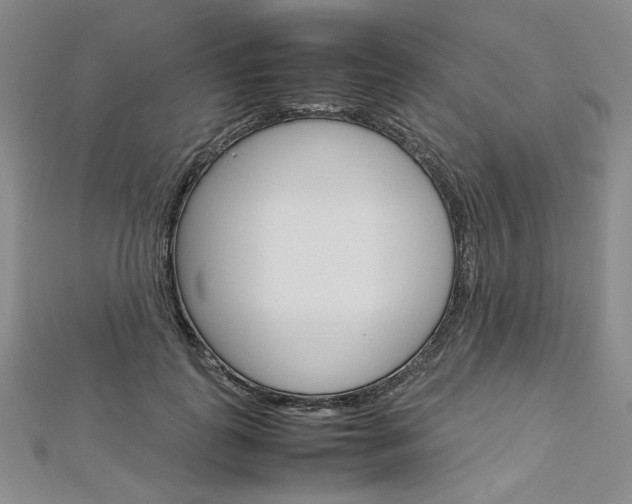 X0000113030747200908271054