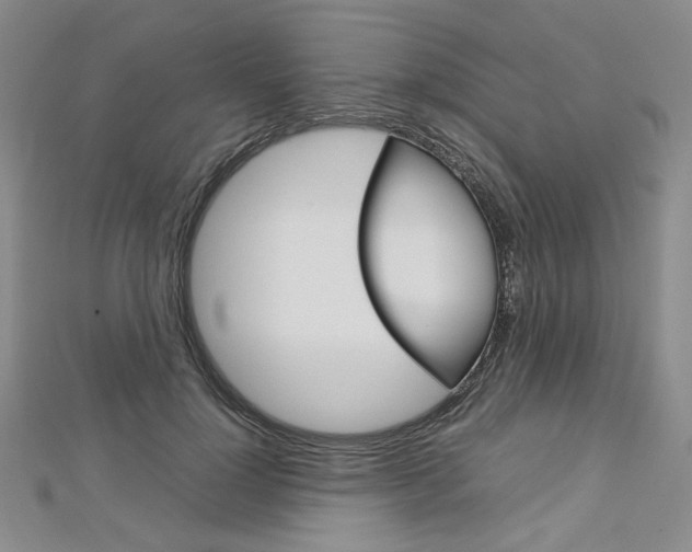X0000113030748200908271054