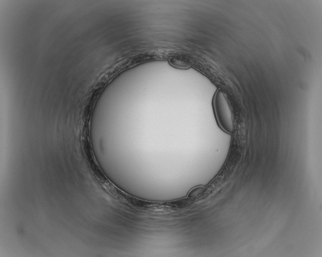 X0000113030750200908271054