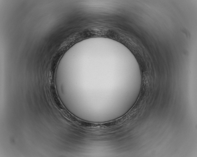 X0000113030752200908271054