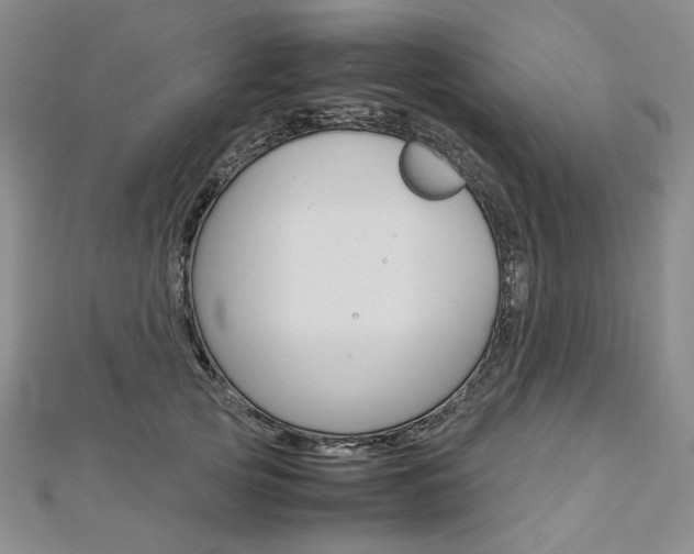 X0000113030753200908271054