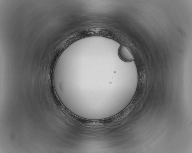 X0000113030754200908271054