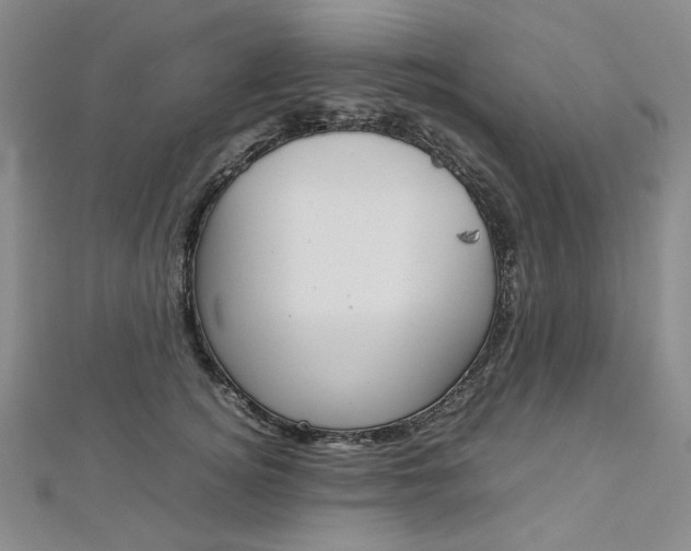 X0000113030756200908271054