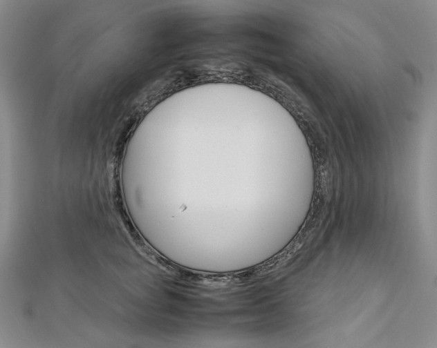 X0000113030757200908271054