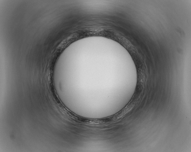 X0000113030758200908271055