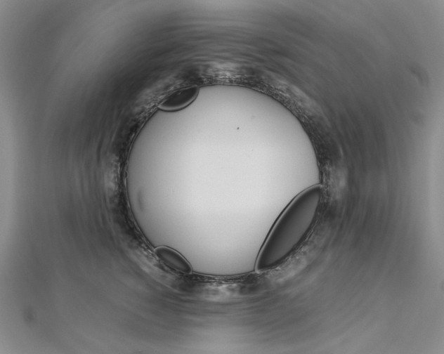 X0000113030760200908271055
