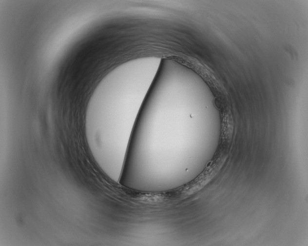 X0000113030762200908271055