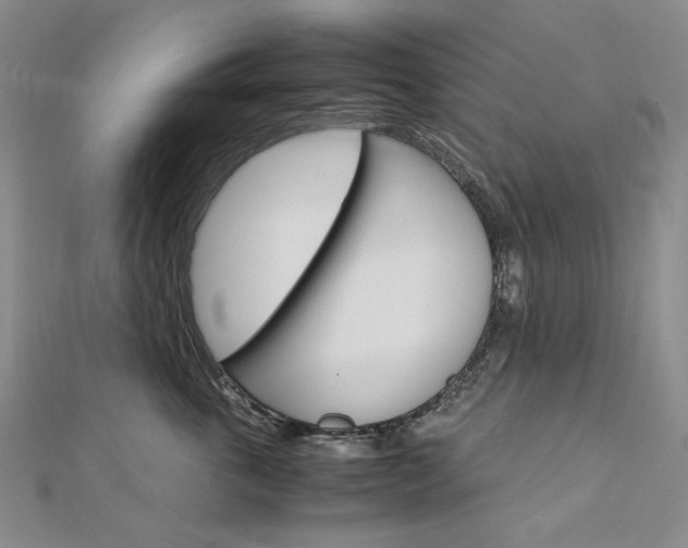 X0000113030763200908271055